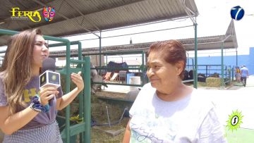 [ID: D78j81sv5Uo] Youtube Automatic