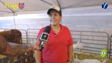 [ID: fy09aVJLfS0] Youtube Automatic