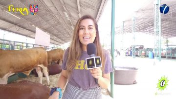 [ID: HL8-0ayI_rE] Youtube Automatic