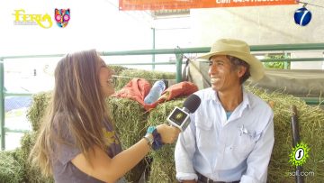 [ID: lOM9sGh4IrE] Youtube Automatic